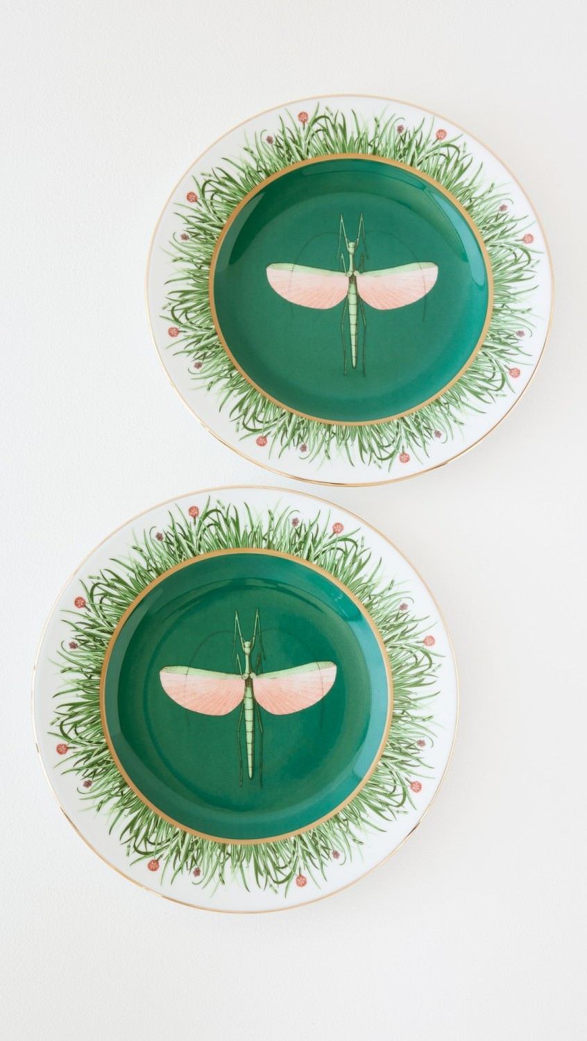 Dinner Plates Set Of 2  |  Tabletop Home Libellula