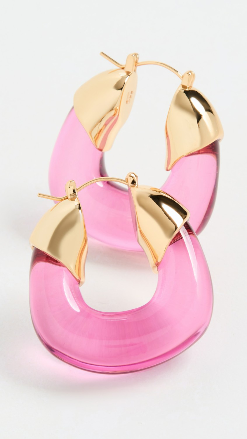 Hoops In Flamingo  |  Earrings Earrings Earrings