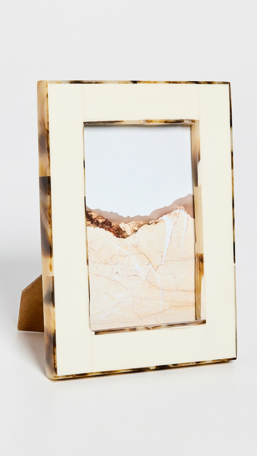 White Bone Resin With Faux Horn Border Frame  |  Décor Décor Décor